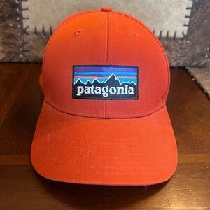 Patagonia trucker hat- One size
